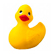 ducks4stacks's Profile Picture