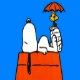 tmleafs1967's Profile Picture