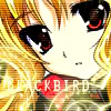 ProBlackbird's Profile Picture