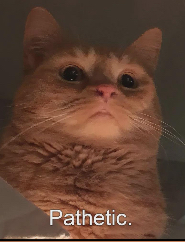 ExpectedV's Profile Picture