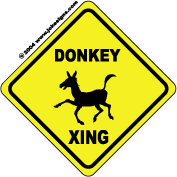 poloboy4's Profile Picture