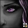 Theduke211's Profile Picture