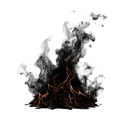 BlackFire's Profile Picture