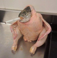 pagepuga's Profile Picture