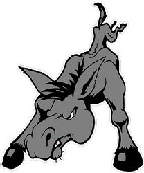 Donskey's Profile Picture