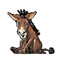 MasonJercier's Profile Picture