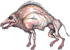 BigBoar's Profile Picture
