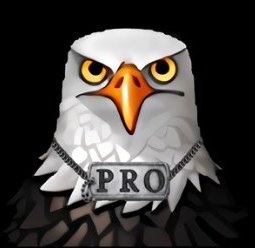 III PRO III's Profile Picture