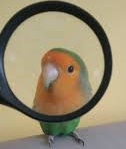 Real_'s Profile Picture