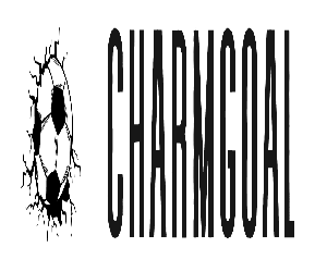 charmgoal's Profile Picture