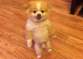 simplicitus's Profile Picture