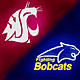 MSUcougar's Avatar